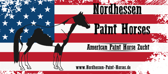 Nordhessen Paint Horses